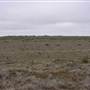 Hay Plains