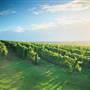 Hunter Region