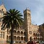 ICMS - International College of Management, Sydney