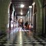 ICMS - International College of Management, Sydney