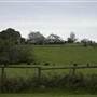 Jamberoo - Swamp & Jamberoo Roads