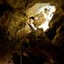Jenolan Caves