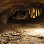 Jenolan Caves