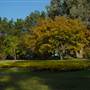 Japanese Gardens Cowra