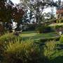 Japanese Gardens Cowra