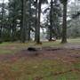 Jenolan State Forest