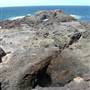 Kiama