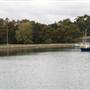 King George Park and Rozelle Foreshore