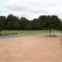 King George Park and Rozelle Foreshore