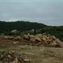 Kimbriki Resource Recovery Centre