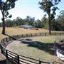 John Scott Kundabung Rodeo Grounds / Stables