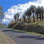 Kyogle