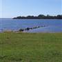 Lake Illawarra & Windang