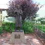Leeton Shire