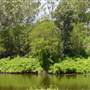 Lane Cove National Park