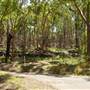 Lane Cove National Park
