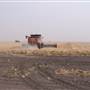 Hay Area Agriculture