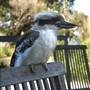 NRMA Myall Shores Holiday Park