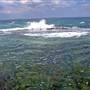 Newcastle Beach