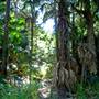 Mungo Brush - Myall Lakes National Park