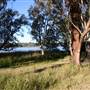 Myall Lakes National Park