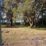 Myall Lakes National Park