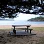 Pearl Beach