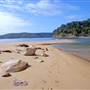 Patonga