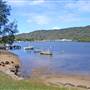 Patonga