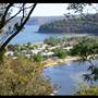 Patonga