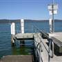 Patonga