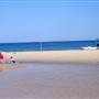 Redhead Beach