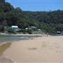 Patonga