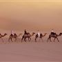 Stockton Dunes - Worimi National Park