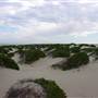 Stockton Dunes - Worimi National Park
