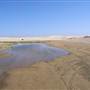 Stockton Dunes - Worimi National Park