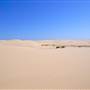 Stockton Dunes - Worimi National Park