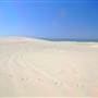 Stockton Dunes - Worimi National Park