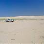 Stockton Dunes - Worimi National Park