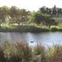 Sydney Park