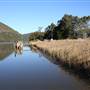 Wisemans Ferry