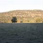 Wisemans Ferry