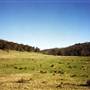 Tocal Historic Homestead
