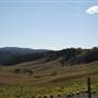 Lithgow Township & Surrounds