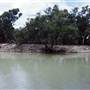 Menindee
