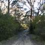 Lithgow Township & Surrounds
