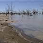 Menindee