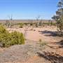Menindee