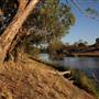 Menindee