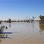 Menindee